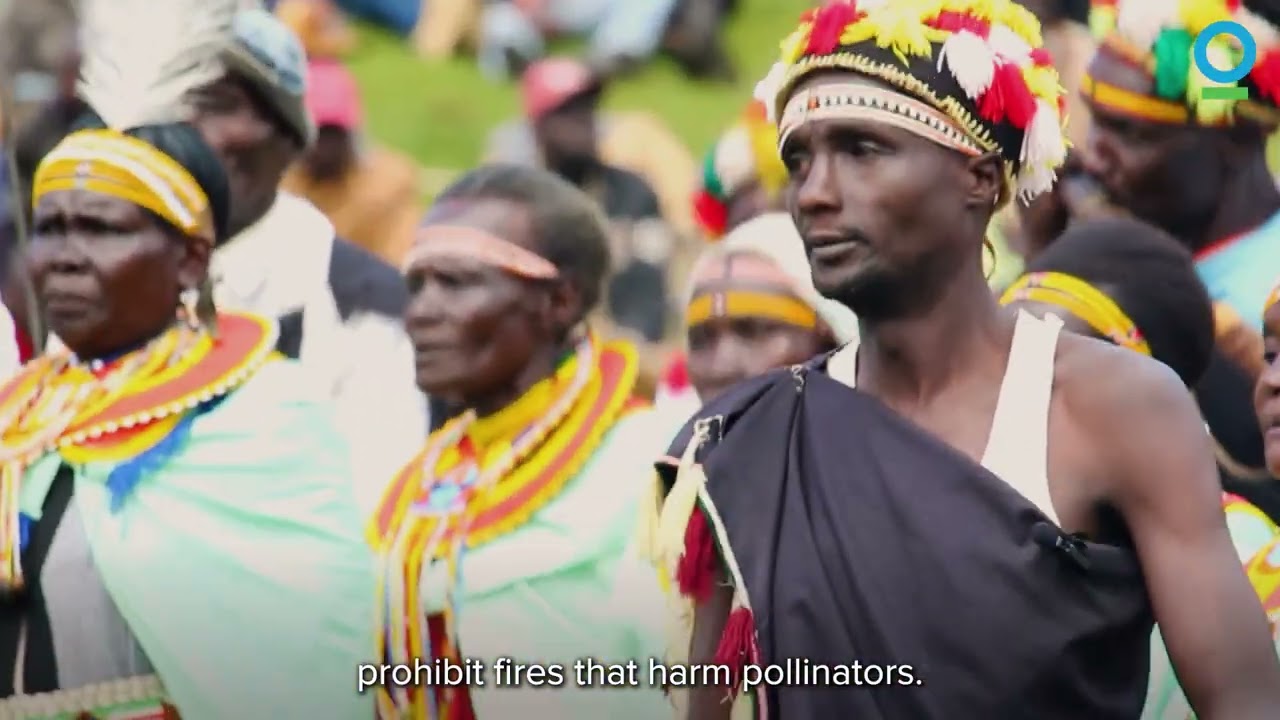 How Indigenous Communities Are Protecting Nature’s Last Strongholds