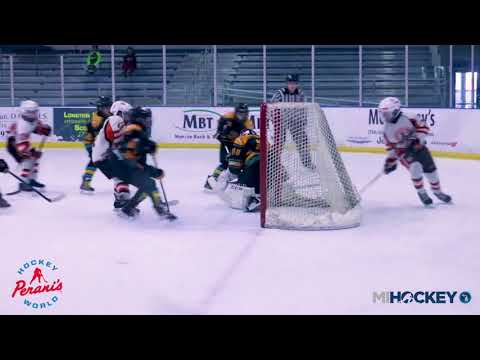 2018 MAHA Pee Wee A State Championship (Compuware vs. Troy Sting)