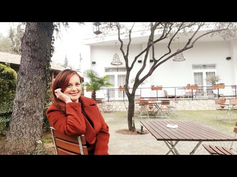 Vitrina e librit/ Ngadalësia- Milan Kundera