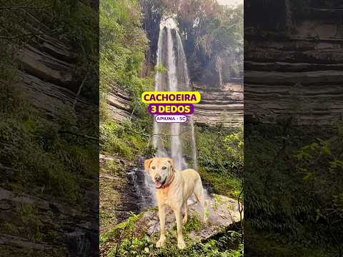 😱FORMATO ÚNICO em SC #cachoeiratresdedos #apiuna #recantodascachoeiras