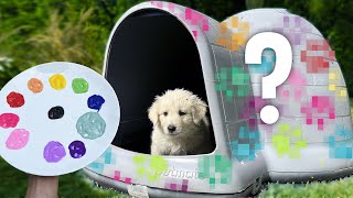 Building My Rescue Husky Puppies Their DREAM Dog House!