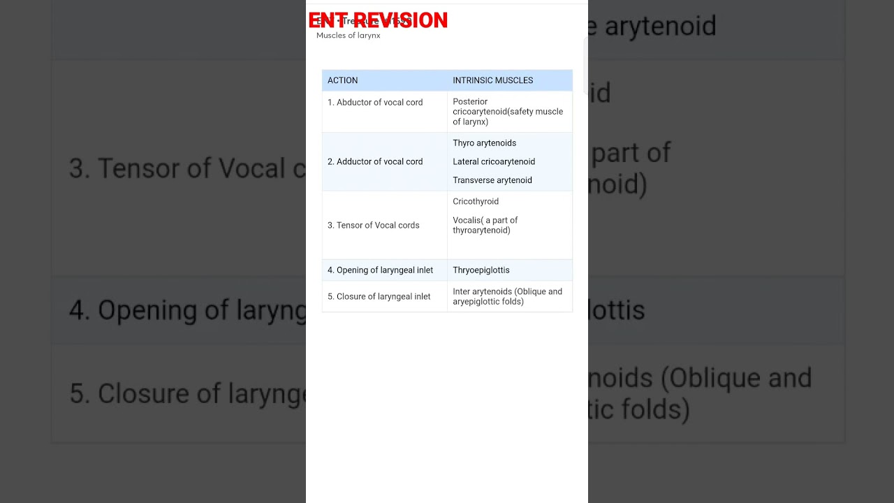 #mbbs #otolaryngology MUSCLES of Larynx