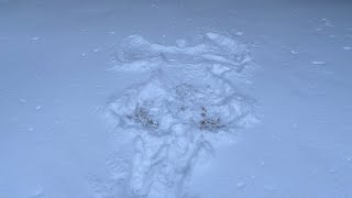 LuckyDuckDigger 2026 Snow #3 6” later!