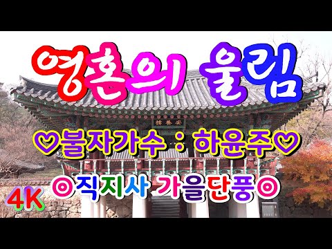 #4K#불자가수#하윤주#찬불가메들리#영혼의울림#가슴으로부르는우리들의찬불가#향심#부처님께귀의합니다#얼마나닦아야거울마음닮을까#우리도부처님같이#한마음있음이여#구름걷힌달처럼#바람부는산사