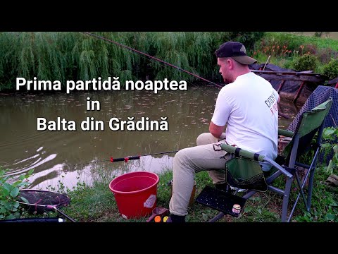 Feeder fishing with HUGE ACTIVITY in the Garden Pond! I caught 5 species of fish 🎣 #fishing