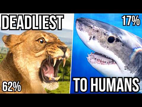 Ranking 10 Large Predators By Their Fatality Rate When Targeting Humans