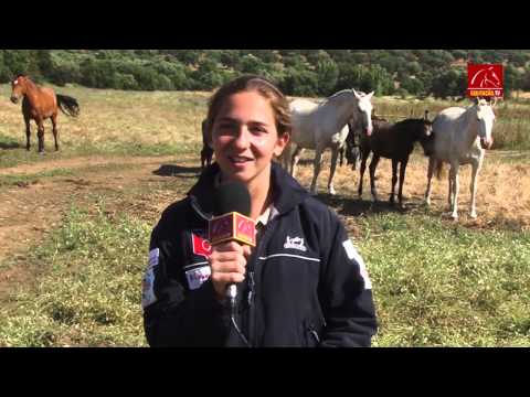 PROMO: Carminho Marcelino (Dressage)