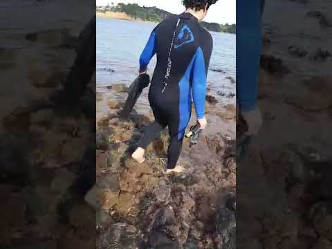 frist dive for kina's up the far North Monganui