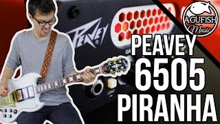 Video thumbnail for Peavey 6505 Piranha Micro Head Demo || The Cutest Hi-Gain Amp Head?? by Agufish