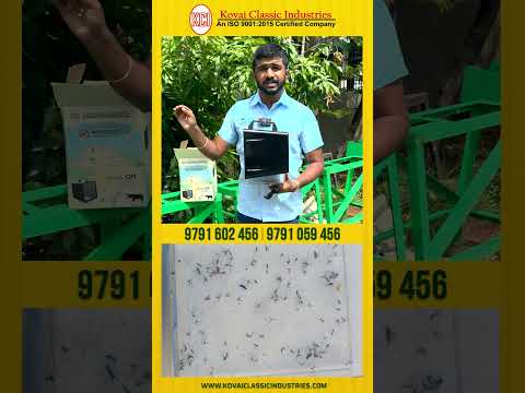 Mosquito Killer Lamp