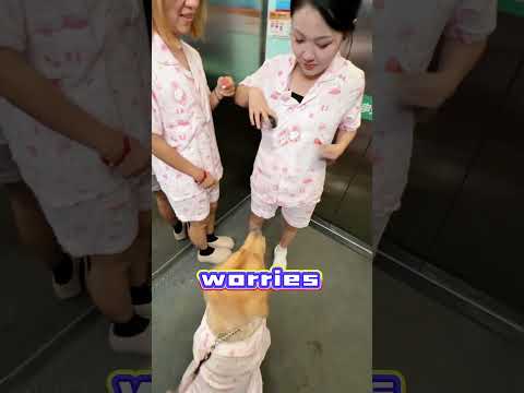 Dog Matches Outfits with Stranger, Gets a Sausage, But the Owner Eats It Instead! 🌭🐶😂#funny #come