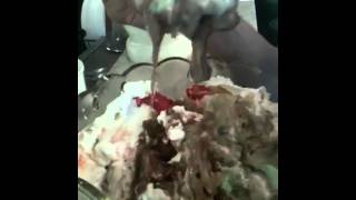 Pct 2912: Kyle takes on the Marble Mountain ice cream