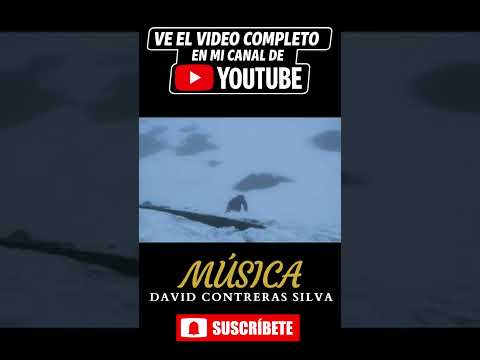 📼HOGAR (2006) Nanometraje de David Contreras Silva · Archivo Histórico de Antuco | Camcorder Mini DV