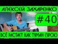 #40 А.Захаренко - Всё растает как туман (видеоурок, туториал, кавер, аккорды ...