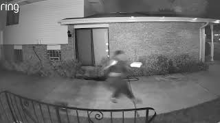 Face to Face with a Bat  Woman's Startling Encounter    RingTV