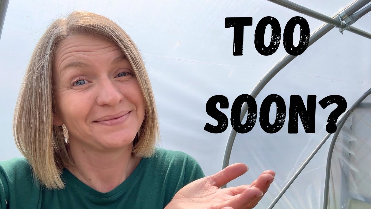 The Great Seedling Shuffle | Too Much Growth, Not Enough Room