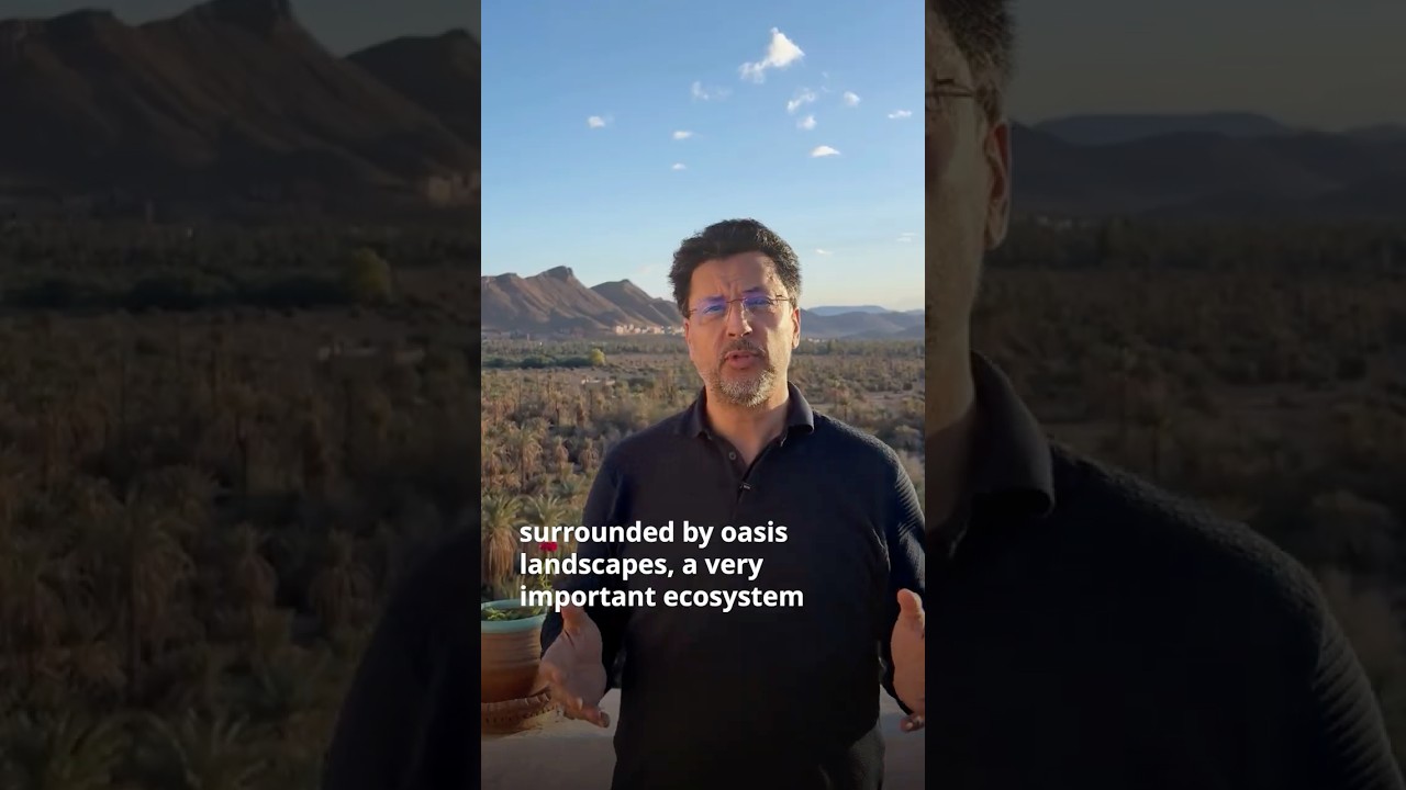 Morocco🇲🇦 Oasis landscapes underpin rural jobs, national value chains, and food and water security