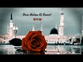 Jabke Sarkar Tashreef Lane Lage Naat Eid Miladun Nabi ﷺ WhatsApp Status Whatsappstatus Status