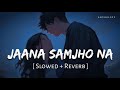 Jaana Samjho Na Slowed Reverb Bhool Bhulaiyaa 3 Aditya Rikhari Tulsi Kumar Anshul3zx