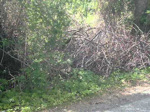 Leghin  Pipirig-Neamt drumul spre Secu