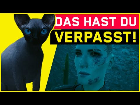Cyberpunk 2077 - 10 Dinge die DU VERPASST hast!