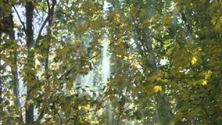 Book Of Love - Modigliani (Requiem Mass)