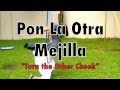 WWJD - La otra mejilla - The other cheek 