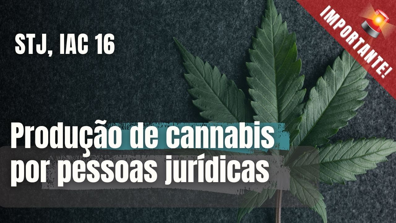 Produção de cannabis por pessoas jurídicas no Brasil. STJ, IAC 16