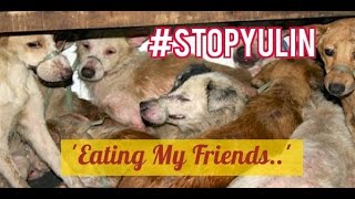 YULIN DOG MEAT FESTIVAL - 'Eating My Friends' - #STOPYULIN