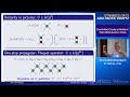 Arul Lakshminarayan: Dual Unitary Circuits as Models of Many-Body Quantum Chaos