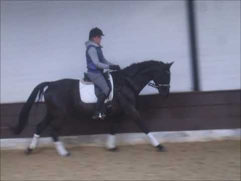 BELLA 7j. v. Bonard de Charry - Acapulco VB 6.500,- Euro