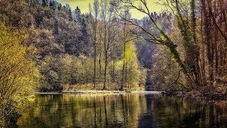 Download lagu 1 Hour Kdrama Uncontrollably Fond OST – Piano Love Songs Collection For Studying And Sleeping mp3 Download lagu 1 Hour Kdrama Uncontrollably Fond OST – Piano Love Songs Collection For Studying And Sleeping mp3