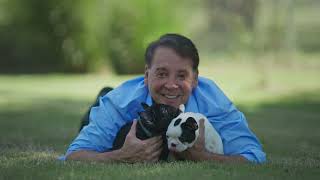 Learn About Perry Payson and His Love of the Dog Show Industry - ProClub Expert