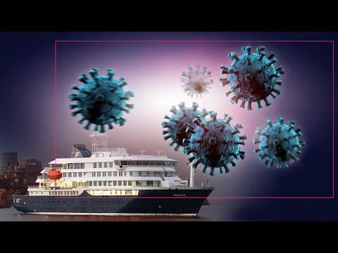 Video Thumbnail: Wie gefährlich ist das Hantavirus? | MrWissen2go