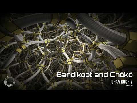 Bandikoot & Chôkô - Shamrock V