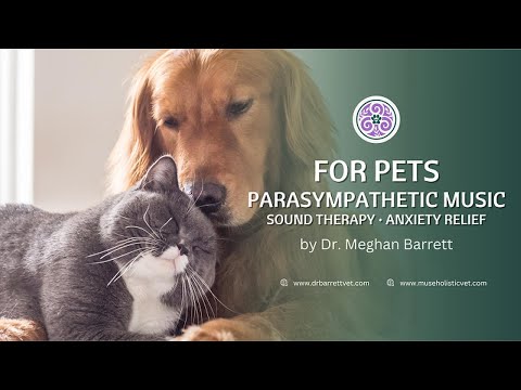 9 HOURS Calming Music for Pets by Dr. Barrett