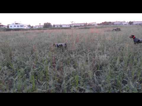 Mars and Venus double point