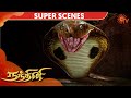 Nandhini Super Scene Epi 21 நந்தினி Sun TV Serial Super Hit Tamil Serial