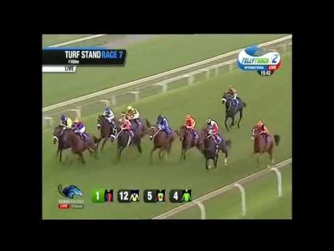 2015.04.04 Senor Santa Handicap (RSA) - Dollar Dazzler
