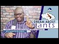 DREAM ABOUT ANTS I Find Out The Biblical Meaning Of Ants In Dreams I