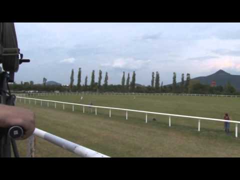 MI, 12. 7. 2015, 6. dostih - Cena společnosti Charvát Group, s.r.o.