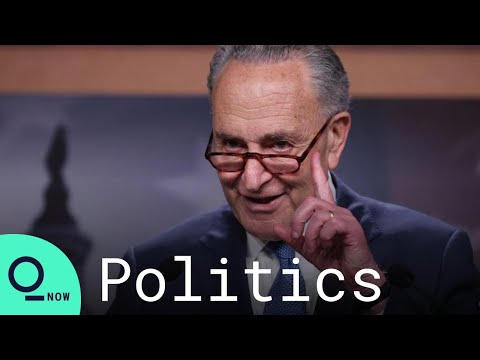Schumer Calls Trump a 'Bane to Democracy' After GOP Blocks Capitol Riot Probe