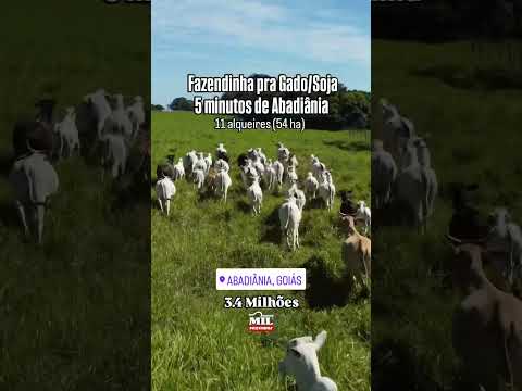 FAZENDINHA COMPLETA A APENAS 5 MINUTOS DE ABADIÂNIA, GO  - 54 HECTARES #fazendaavenda #agro