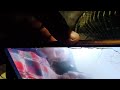 Sex Video Sali Aar Jiji Ke
