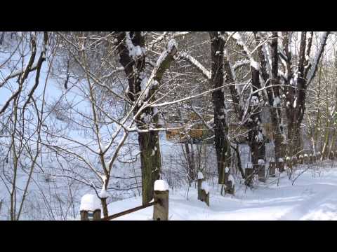 Regionova v zasněženém Prokopském údolí