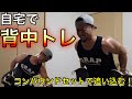 【自宅トレ!ダンベルのみで背中を追い込む!】