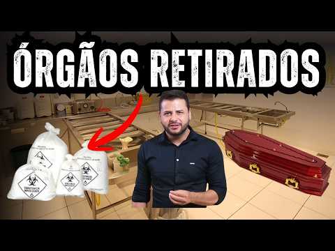 Vídeo