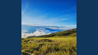 Download lagu Separuh jiwaku mp3 Download lagu Separuh jiwaku mp3