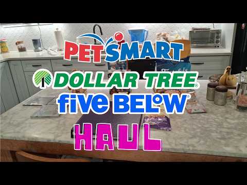 Five Below Tallahassee Photos