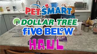 Petsmart, Dollar Tree, Five Below, and Thrift Store Haul